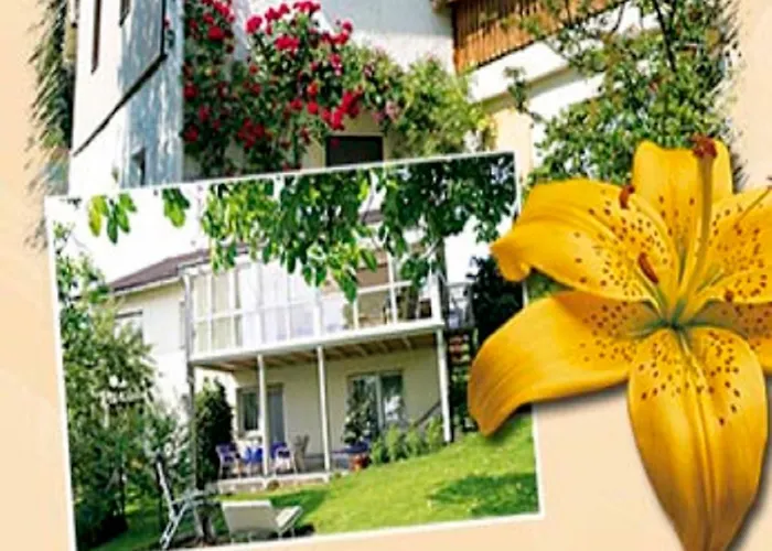 Zucker Apartamento